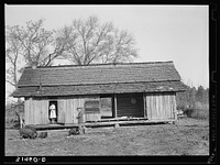 Dog trot cabin of Ed Bagget, sharecropper, near Laurel, Mississippi by Russell Lee