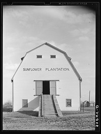 [Untitled photo, possibly related to: Barn. Sunflower Plantation, Mississippi] by Russell Lee
