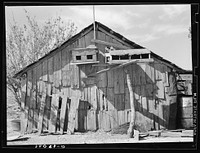 Side of barn of Mexican day laborer with pigeon cote. Near Santa Maria, Texas by Russell Lee