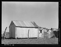 Mexican house, Robstown, Texas. Notice absence of windows. House is constructed of three materials: wood, tin and mud by Russell Lee