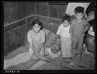Corner of room in corral. Entire families of six and seven persons live in one small room. Notice roll of bed clothing and condition of floors.  Robstown, Texas (Mexican family) by Russell Lee