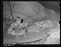 Child of white migrant in tent home. Corpus Christi, Texas by Russell Lee