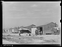 Houses of Mexican day laborers. Crystal City, Texas by Russell Lee