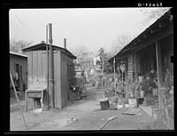 Part of corral in Mexican section. San Antonio, Texas by Russell Lee
