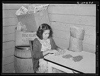 Mexican girl removing shells from small pieces of pecan meats. This is done with the finger tips. Lighting conditions are very poor. San Antonio, Texas by Russell Lee