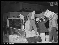 Unloading fruit and vegetables from truck at wholesale house. San Antonio, Texas by Russell Lee