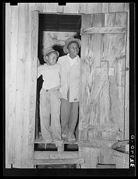 Two young  strawberry pickers standing in doorway of their temporary house near Independence, Louisiana by Russell Lee