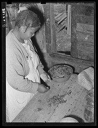  woman, wife of sharecropper, preparing "poke-salad." This is a green which grows wild in the South and which Southern Negroes and many of the whites consider an essential spring tonic. Near Marshall, Texas by Russell Lee