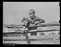 Farm boy resting on rail fence. San Augustine County, Texas by Russell Lee
