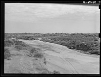 [Untitled photo, possibly related to: Wagon tracks down the dry bed of the Colorado River at Colorado, Texas. Rivers and streams of the Southwest are often dry during periods of drought] by Russell Lee
