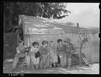 Sons of day laborers. Some of their fathers were agricultural workers and some were dispossessed tenant farmers now on WPA (Works Progress Administration/Work Projects Administration). The WPA work is holding many of these former tenant farmers in their communities, but they are all potential migrants. None of these children had ever attended school. The camp was near Webbers Falls, Oklahoma by Russell Lee