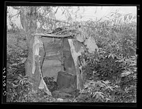 Privy of agricultural day laborer living in Arkansas River bottoms near Webbers Falls, Oklahoma. Muskogee County by Russell Lee