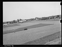 [Untitled photo, possibly related to: Cutting field of alfalfa with tractor-drawn equipment near Prague, Oklahoma] by Russell Lee