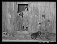 Part of family of tenant farmer. Hill section, McIntosh County, Oklahoma by Russell Lee