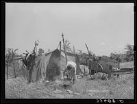 Camp of migrant agricultural day laborers near Vian, Oklahoma. Sequoyah County by Russell Lee