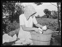 Packing dishes into bushel basket for transportation to California from Muskogee, Oklahoma. These people will become migrants by Russell Lee