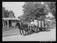 Water peddler in community camp. Oklahoma City, Oklahoma. He is paid fifteen cents a barrel for delivering water to the shack homes by Russell Lee
