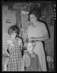 Woman in shack home in community camp. Oklahoma City, Oklahoma. Straightening her son's hair. Refer general caption no. 21 by Russell Lee