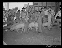 Displaying pigs. 4-H fair, Sublette, Kansas by Russell Lee