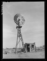 Windmill and milk-house of the Bosley reorganization unit. Baca County, Colorado by Russell Lee