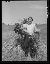Fruits of the soil on farm of Ernest W. Kirk Jr. ,FSA (Farm Security Administration) client. Ordway, Colorado. Shown in the picture are sugar beets, honeydew melon, hybrid corn, successfully grown stringbeans and kaffir corn in background by Russell Lee