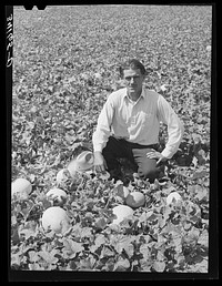 Mr. Ernest W. Kirk Jr., FSA (Farm Security Administration) client, with honeydew melons grown on his farm near Ordway, Colorado by Russell Lee