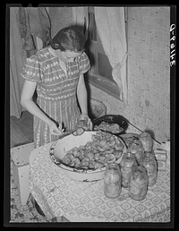 Canning peaches at the home of Mr. Bosley on his reorganization unit by Russell Lee
