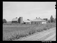 Farmstead on land which owner of the farm, Ernest W. Kirk Jr., FSA (Farm Security Administration) client, rents at present and is contemplating buying, so that he may add these eight acres to those forty which are already cultivated by Mr. Kirk. Mr. Kirk is a very successful FSA client. Near Ordway, Colorado by Russell Lee