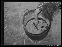 Spanish-American woman cutting soap which she made in this kettle. Near Taos, New Mexico by Russell Lee