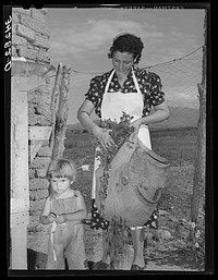 Spanish-American woman and her son with greens which they feed to their rabbits near Taos, New Mexico by Russell Lee