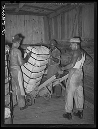 [Untitled photo, possibly related to:  unloading bale of cotton from railroad car. Compress, Houston, Texas] by Russell Lee