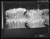 Certified samples of cotton in compress. These certified samples are held by the owner of the cotton so that it can be delivered without further sampling when so much cotton of a certain staple and grade is bought and delivered through the cotton exchange. Port of Houston, Texas by Russell Lee