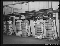 Conveyor of cotton at compress, Houston, Texas by Russell Lee