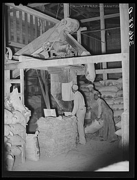 Sacking cotton seed meal. Cotton seed oil mill. McLennan County, Texas by Russell Lee