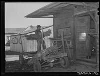 Farmer unloading a trailer of corn at feed mill. Taylor, Texas by Russell Lee