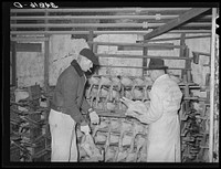 Selecting turkeys at cold storage plant. Brownwood, Texas by Russell Lee