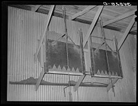 Type of drop gate for loading of cotton seed hulls onto trucks. Cotton seed oil mill. McLennan County, Texas by Russell Lee