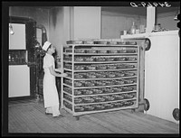 Moving trayload of bread and rolls into the rising compartment, which has regulated temperatures. Bakery, San Angelo, Texas by Russell Lee