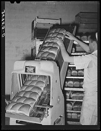 [Untitled photo, possibly related to: Slicing bread at bakery. San Angelo, Texas] by Russell Lee