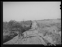 Children of Pomp Hall,  tenant farmer, climbing hill on country road on their way to school. Creek County, Oklahoma. See general caption number 23 by Russell Lee