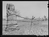 Fence made of old oil well cable. Creek County, Oklahoma by Russell Lee
