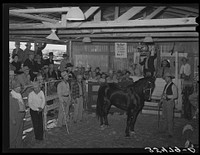 Auction of horses at San Angelo Fat Stock Show, San Angelo, Texas. The breeding and raising of fine horses is a part of the cattle industry. They are used not only as show horses and as saddle horses but also each cowboy on a ranch has a string of from five to a dozen horses for his own use in ranching activities by Russell Lee