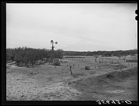 [Untitled photo, possibly related to: Stock water storage tank and windmill on sheep and goat ranch in Menard County, Texas] by Russell Lee