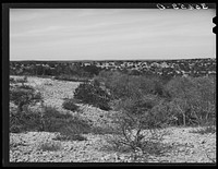 Rocky, hilly terrain spotted with scrub oak and cedar trees. Kimble County, Texas by Russell Lee