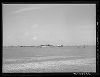[Untitled photo, possibly related to: Farmstead in Refugio County, Texas] by Russell Lee