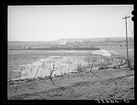 The start of flood irrigation on the hay fields in the valley of the Little Colorado River Valley. After these fields are so irrigated the cattle are driven to the mountains for summer pasturage while the hay grows and matures. Apache County near Springerville, Arizona by Russell Lee