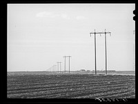 [Untitled photo, possibly related to: Power lines along highway in Dawson County, Texas] by Russell Lee