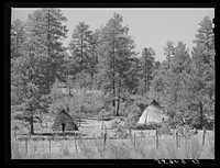 Wickiups of the Apache Indians who tend small fields of corn, squash and grass in the Apache National Forest. Navajo County, Arizona by Russell Lee