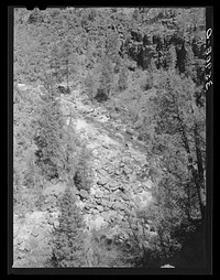 Gorge of the Carrizo Creek. Navajo County, Arizona by Russell Lee