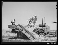 Combined hay picker-upper and chopper developed by members of the Casa Grande Valley Farms, Pinal County, Arizona, with the aid of Mr. Walton, FSA (Farm Security Administration) regional farm supervisor. After hay is chopped, it is loaded into a truck which drives by the side of the chopper and is thence taken to the feed barns by Russell Lee